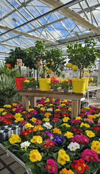 Jardinerie Fleurs et Bonheur
