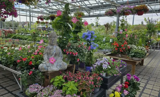 Jardinerie Fleurs et Bonheur